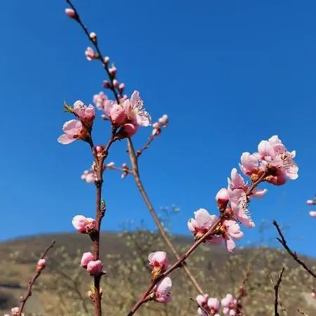 Otel & Restaurant Bruehler Hof *