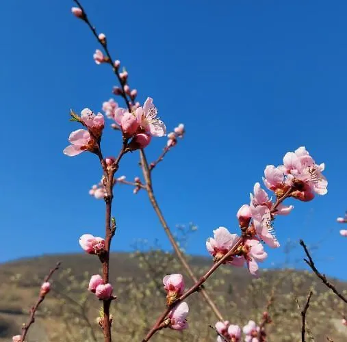 Hotel Hotel&restaurant Brühler Hof *
